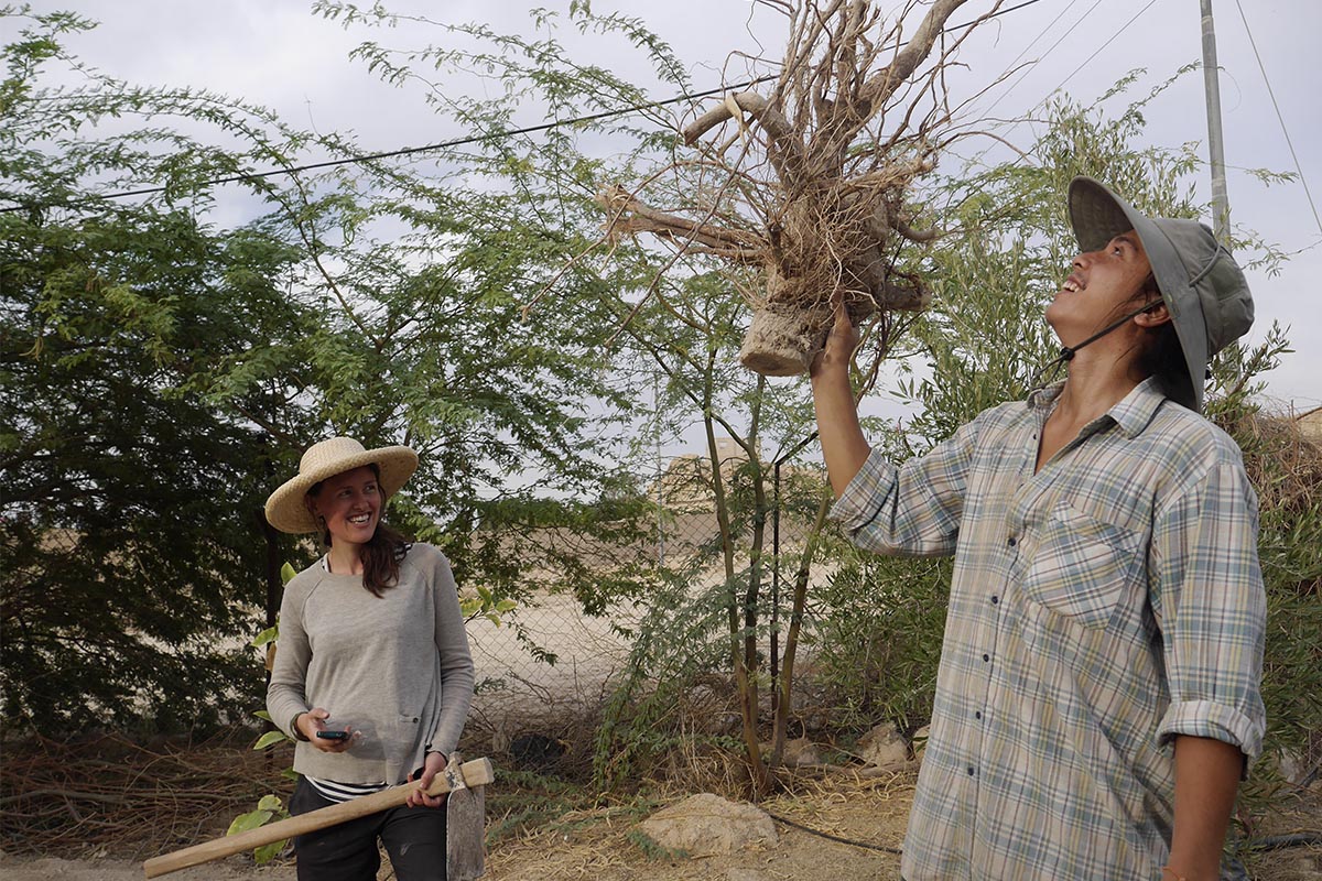 Permaculture internship