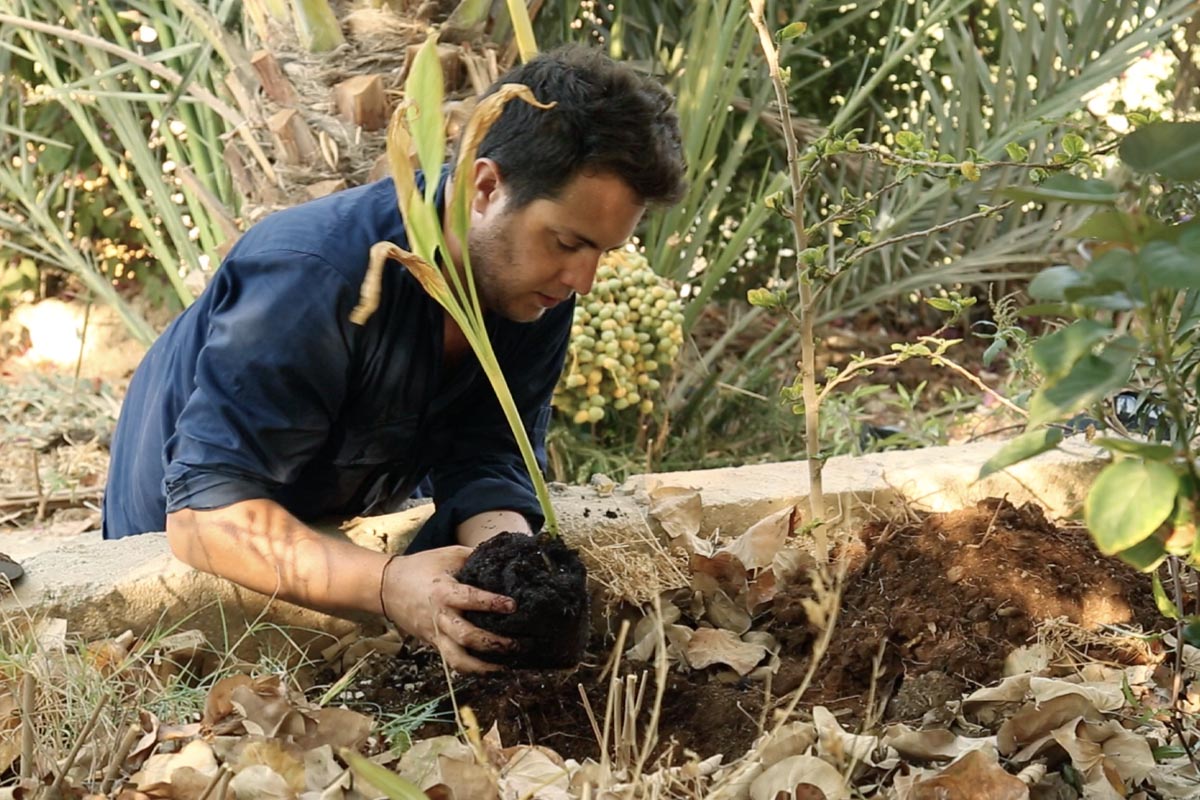 Permaculture internship