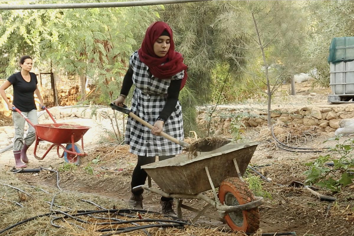 Permaculture internship