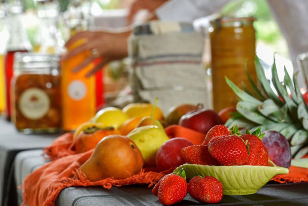 fermentation workshop