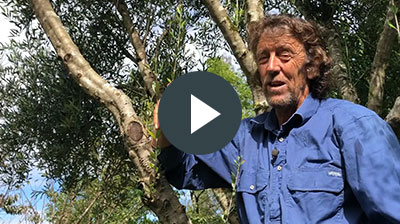 Geoff Lawton Permaculture design certificate course video message 2019 Greening The Desert Project PDC