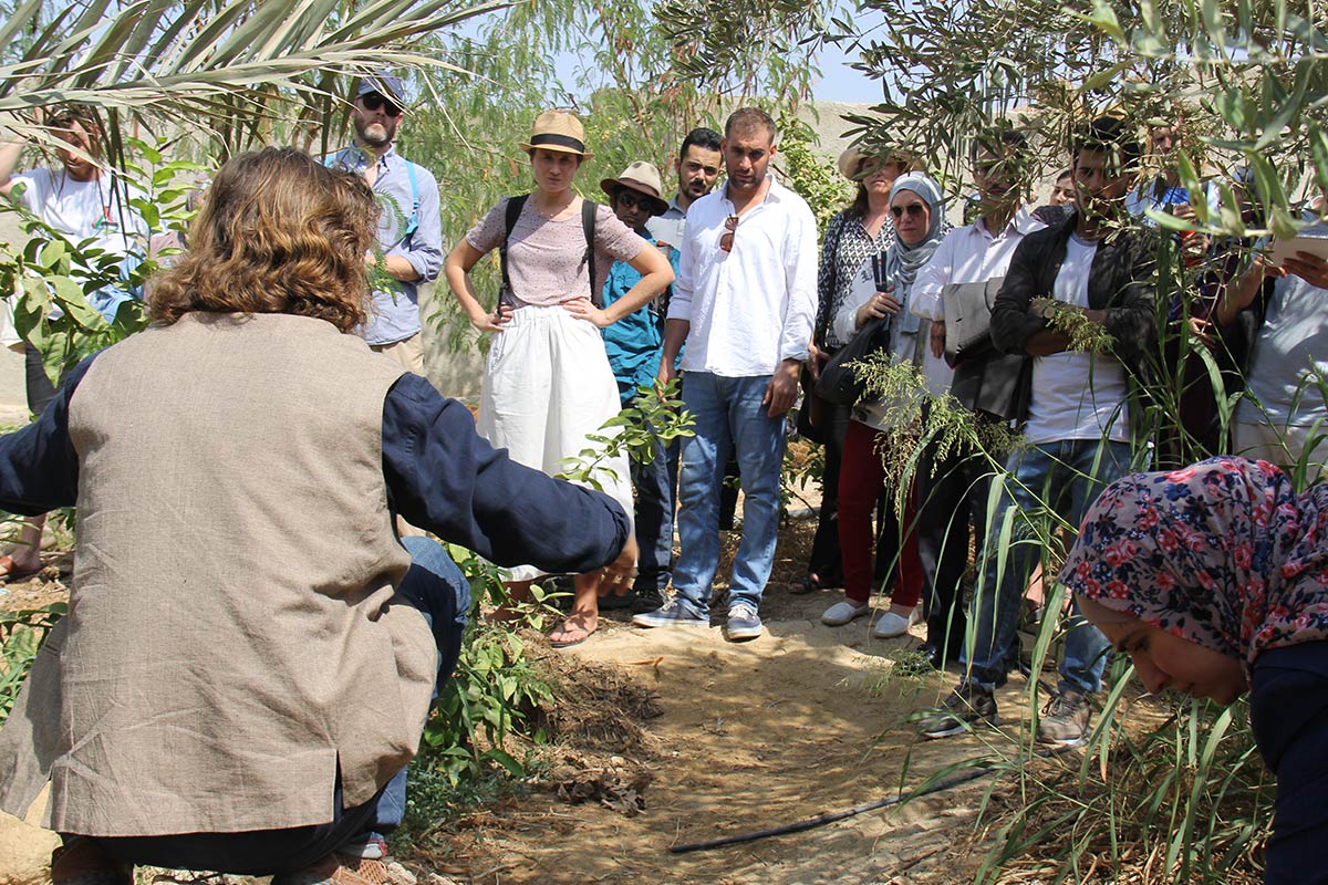 Permaculture tour and demonstration