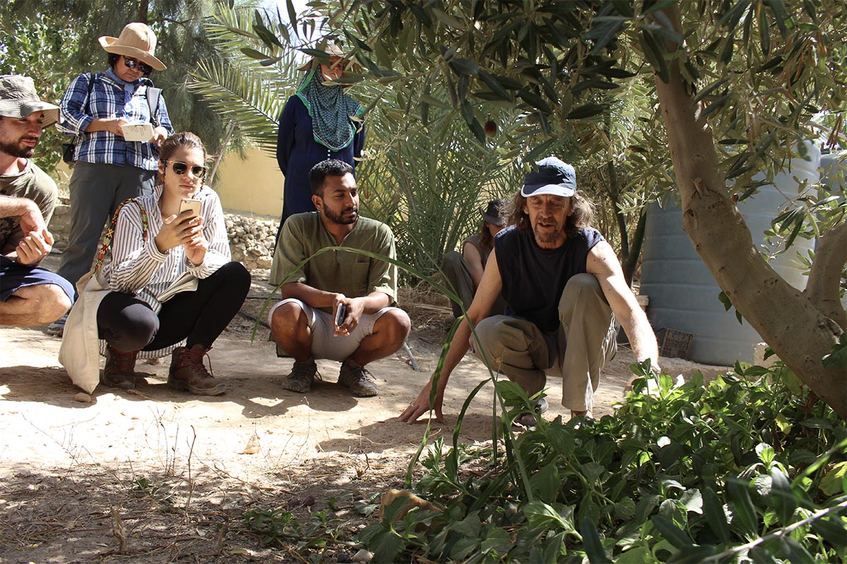 Permaculture internship