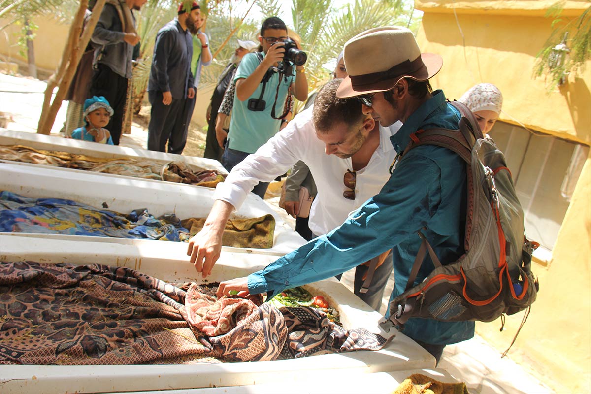 Permaculture internship