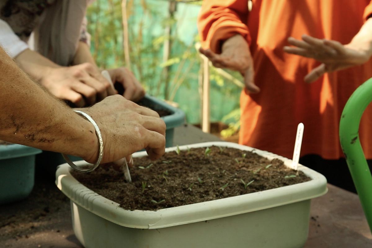 Permaculture internship