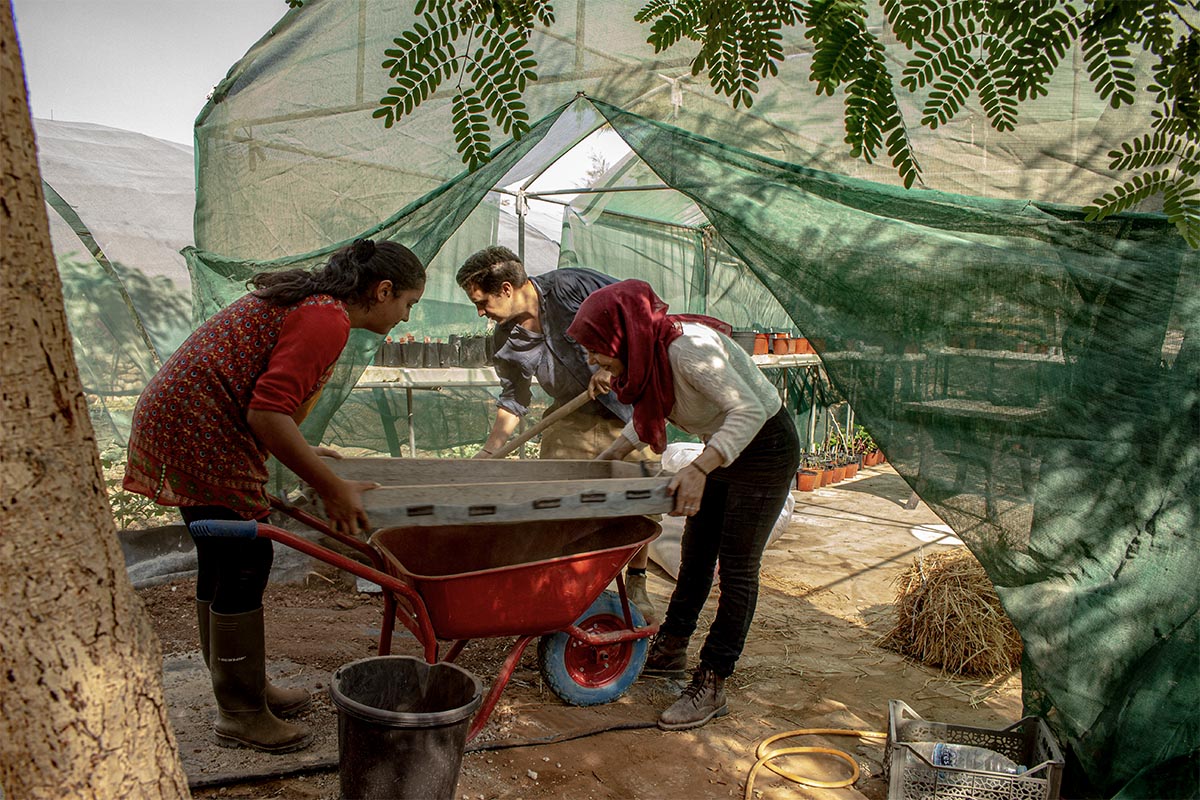 Permaculture internship