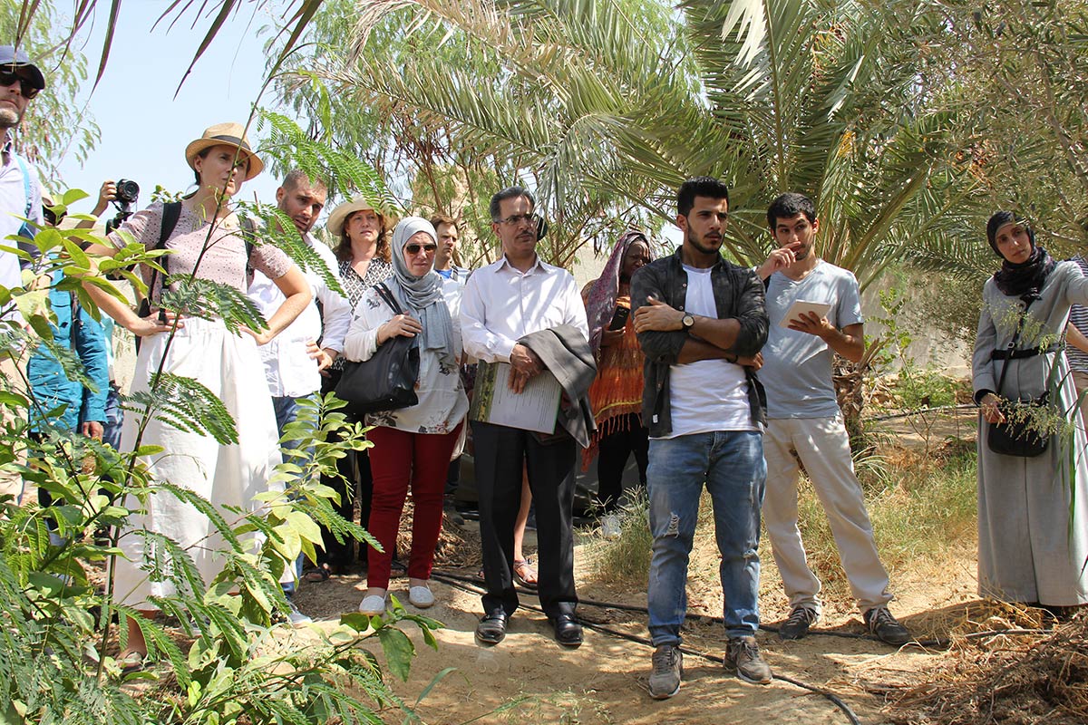 Permaculture tour and demonstration