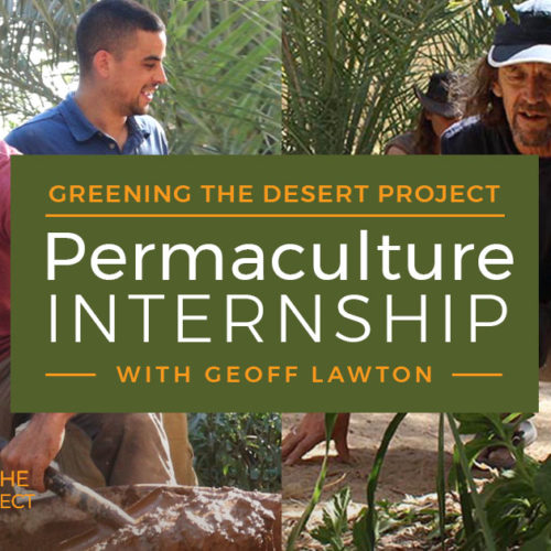 permaculture internship at the greening the desert project with geoff lawton