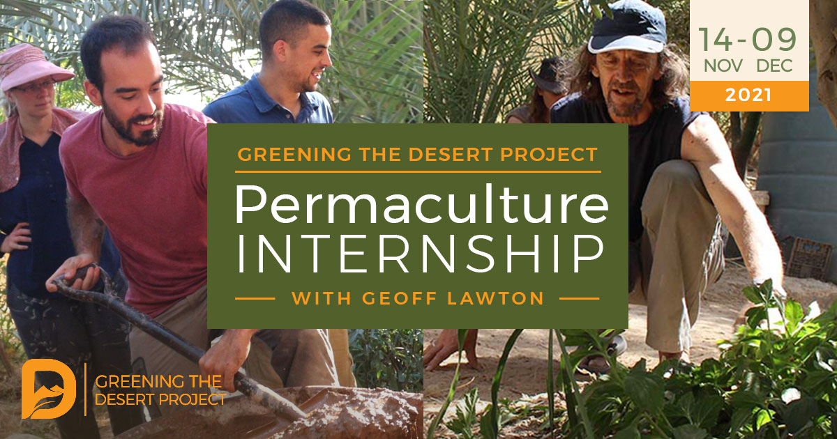 permaculture internship at the greening the desert project with geoff lawton