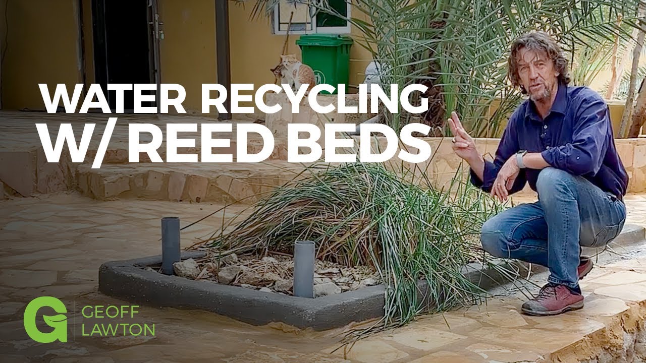 Water Recycling with Reed Beds - Greening The Desert Project