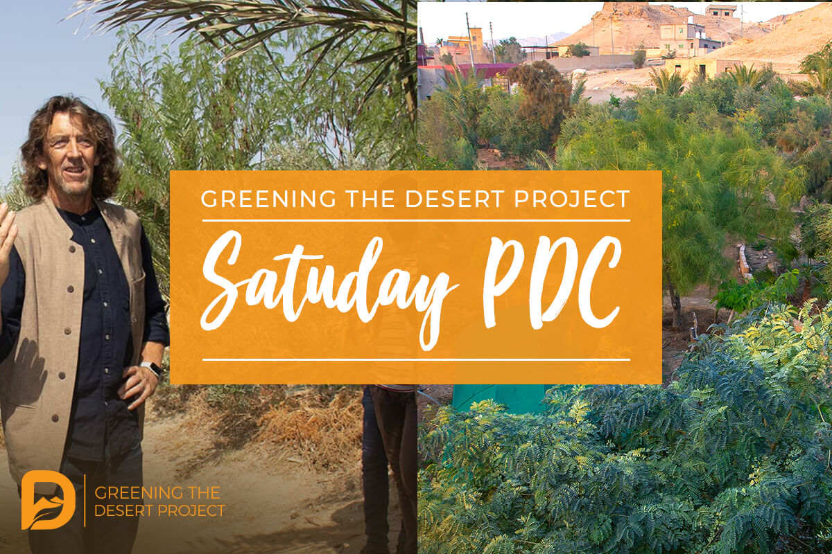 SATUDAY-pdc